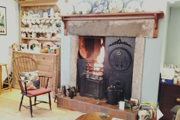 House sit in Durham, United Kingdom