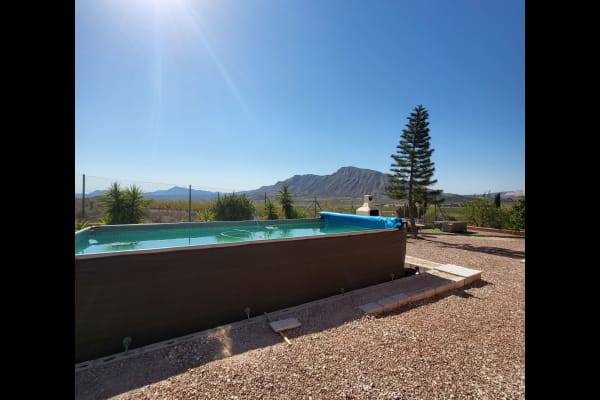 House sit in Hondón de los Frailes, Spain