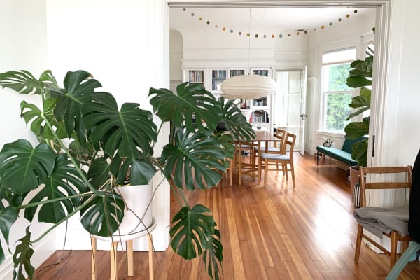 House sit in Oakland, CA, US
