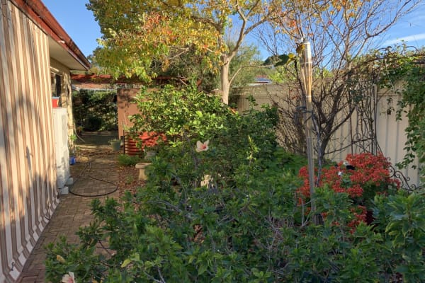 House sit in Perth, WA, Australia