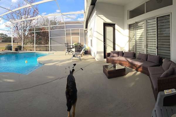 House sit in Orlando, FL, US