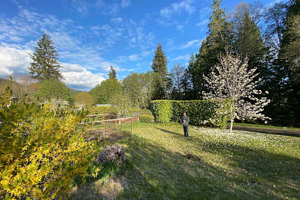 House sit in Powell River, BC, Canada