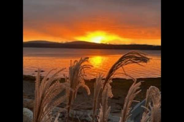 House sit in Ellsworth, ME, US