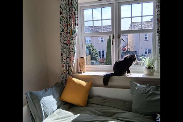 House sit in Beauly, United Kingdom