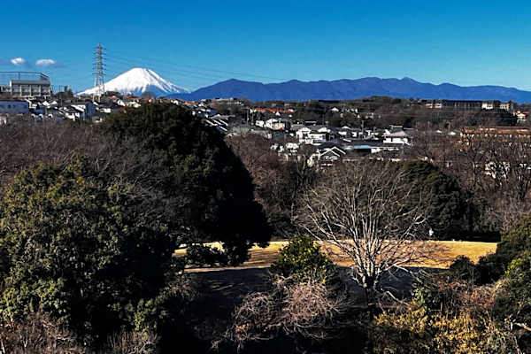 House sit in Hodogayachō, Japan