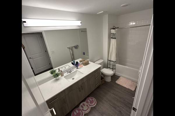 House sit in North Fort Myers, FL, US