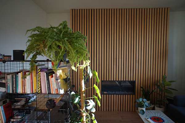 House sit in Brussels, Belgium