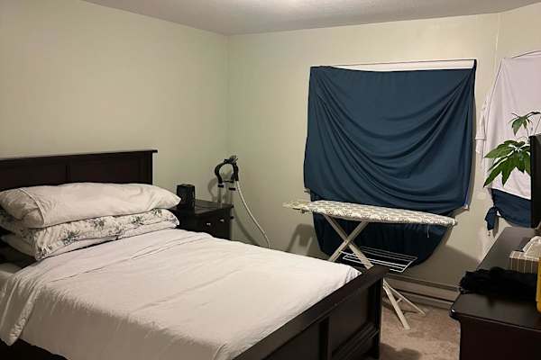 House sit in Abbotsford, BC, Canada