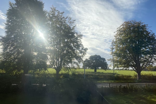 House sit in Great Bookham, United Kingdom