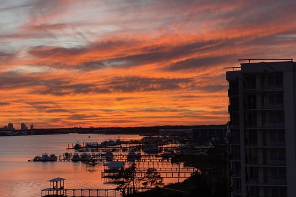 House sit in Orange Beach, AL, US