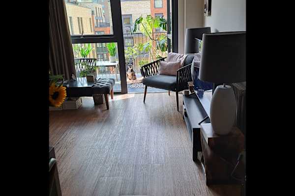 House sit in Tottenham, United Kingdom
