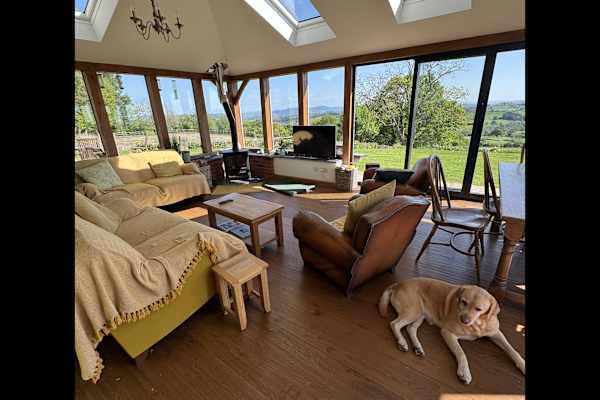 House sit in Oswestry, United Kingdom
