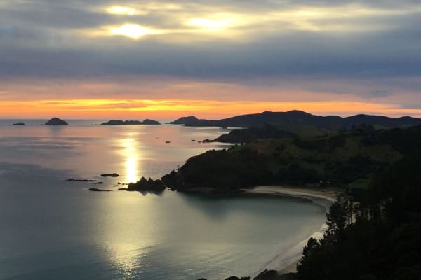 House sit in Kaeo, New Zealand