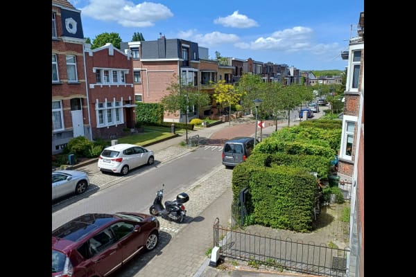 House sit in Hoboken, Belgium