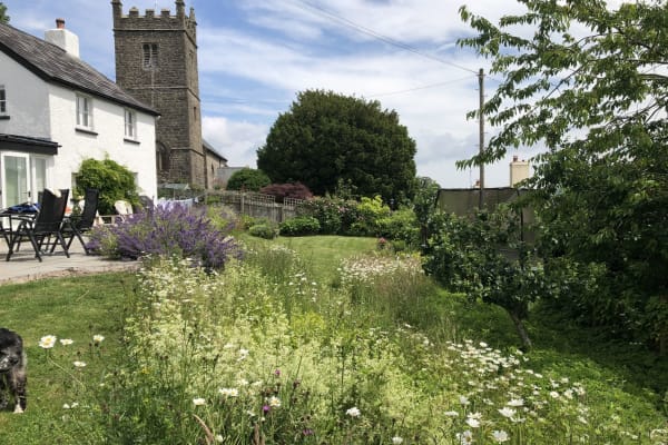 House sit in Exeter, United Kingdom