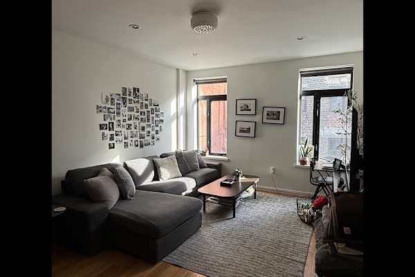 House sit in Brooklyn, NY, US