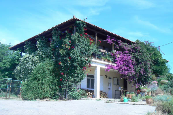 House sit in Spárti, Greece