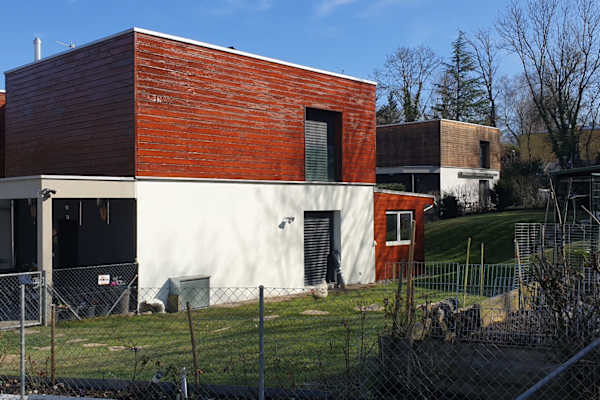 House sit in Genève, Switzerland