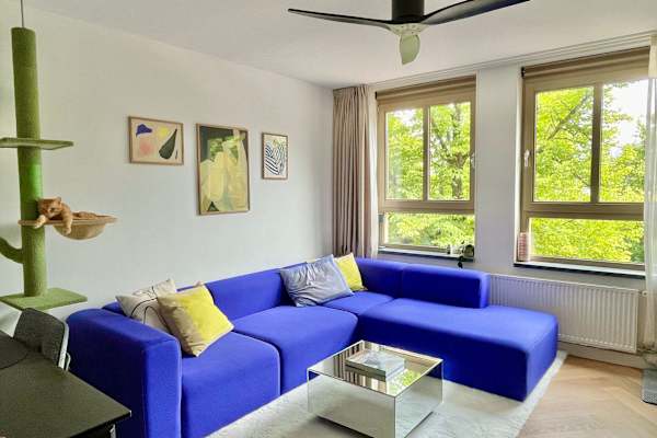 House sit in Amsterdam, Netherlands