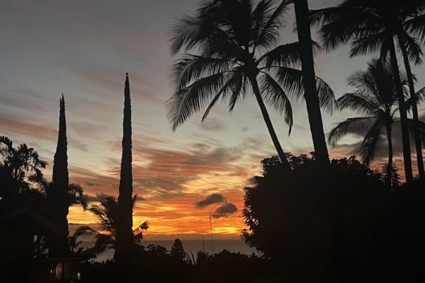 House sit in Wailea, HI, US