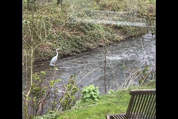 House sit in Barnard Castle, United Kingdom