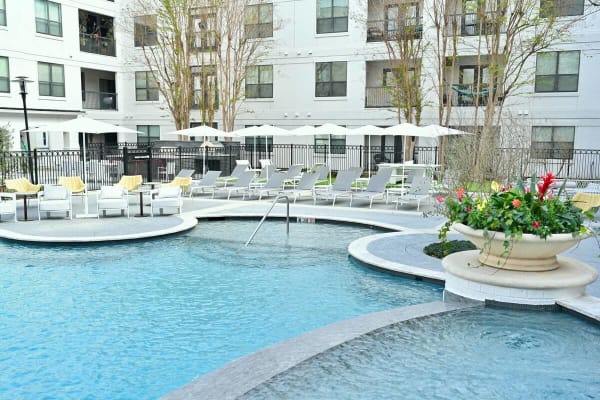 House sit in Houston, TX, US