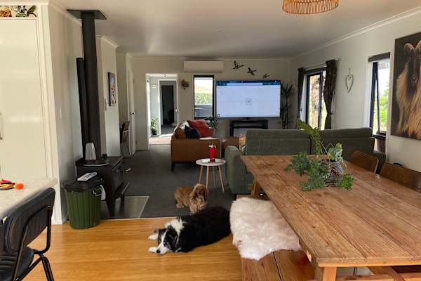 House sit in Cambridge, New Zealand