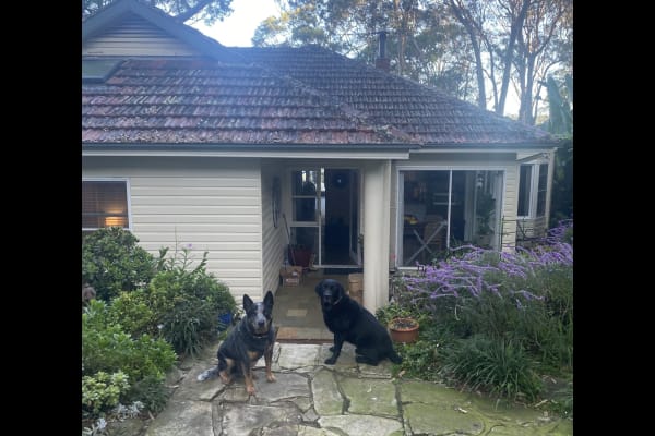 House sit in Sydney, NSW, Australia