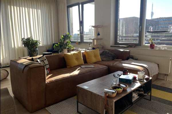 House sit in Amsterdam, Netherlands