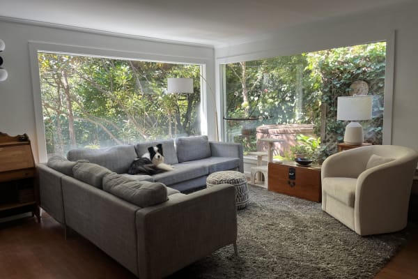 House sit in Mill Valley, CA, US