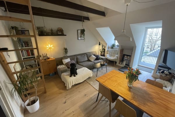 House sit in Copenhagen, Denmark