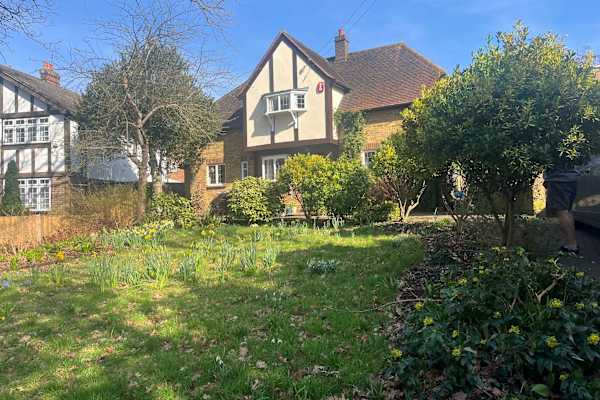 House sit in Beckenham, United Kingdom