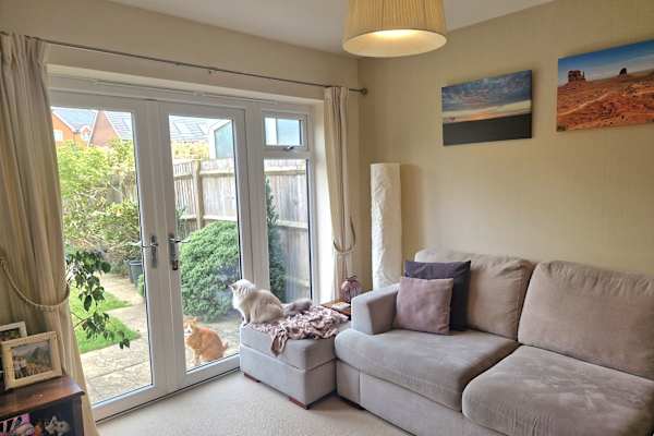 House sit in Walton-on-Thames, United Kingdom