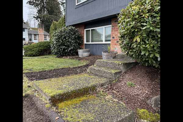House sit in Renton, WA, US