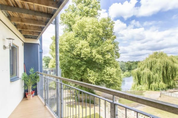 House sit in Norwich, United Kingdom