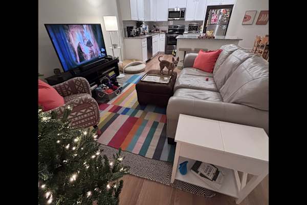 House sit in Wilmington, NC, US