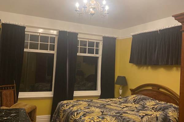 House sit in Westport, New Zealand