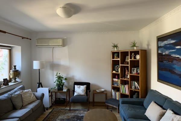 House sit in Bucharest, Romania
