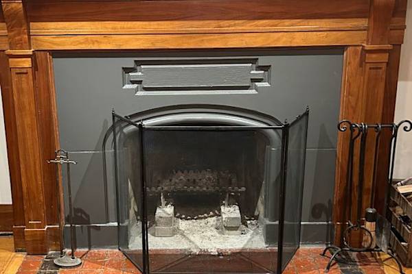 House sit in Toronto, ON, Canada