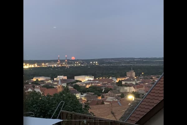 House sit in Pécs, Hungary