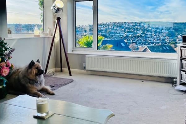 House sit in Saltdean, United Kingdom