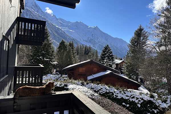 House sit in Chamonix-Mont-Blanc, France