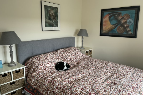 House sit in Tetbury, United Kingdom