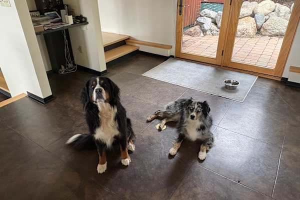House sit in Jackson, WY, US