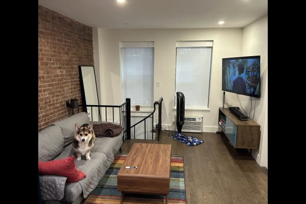 House sit in Manhattan, NY, US