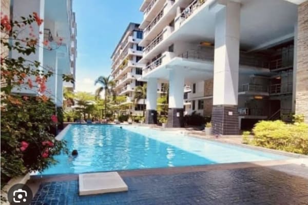 House sit in Bangkok, Thailand
