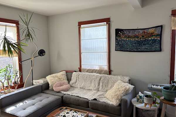 House sit in Victoria, BC, Canada