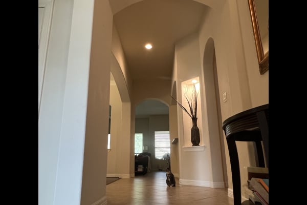 House sit in Houston, TX, US