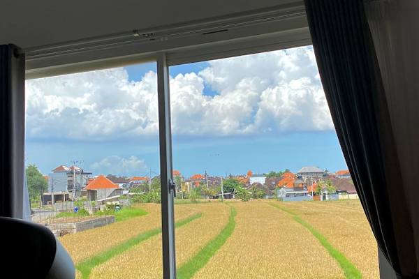 House sit in Banjar Seseh, Indonesia