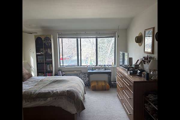 House sit in Aspen, CO, US